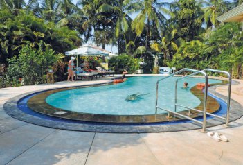 Coconut Grove - Indie - Goa